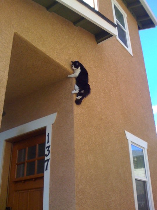 home.whatsmykarma.com